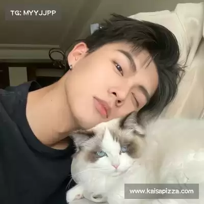 何鹰辉